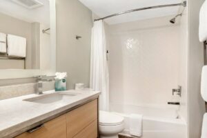 1 bedroom suite bathroom